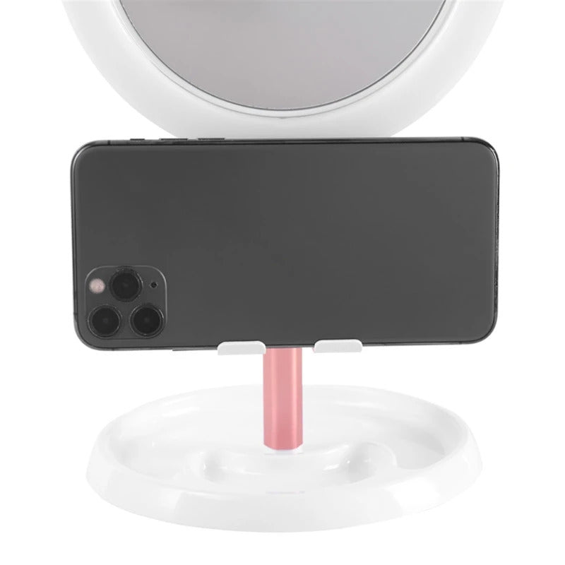 L163  Led Light Makeup Mirror Storage LED Face Mirror Adjustable Touch Dimmer USB Led